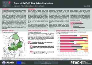Hard-to-Reach COVID-19 Factsheet, Borno State, Nigeria, June 2020