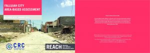 IRQ_Report_ABA Fallujah city_January 2019