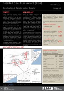 Detailed Site Assessment, Daynile - February 2020