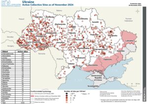 REACH, Ukraine, IDP Collective Site Monitoring, Map, Active Sites, November 2024