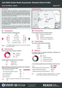 Factsheet_JMCNA_Afmadow_DistrictProfile_August2017