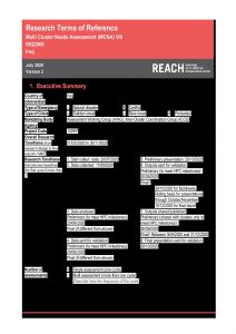 REACH IRQ TOR MCNA VIII July 2020
