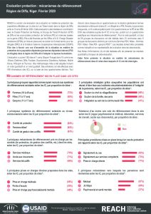 Evaluation protection : fiche d’information sur les méchanismes de référencement, région de Diffa, Niger – Février 2020