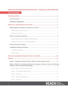 CAR MSNA 2023 Aperçu de la méthodologie