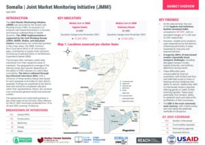 REACH Somalia - JMMI Q1 Factsheet - April 2025