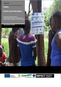 Kenya Cash Intervention Endline Assessment - November 2019