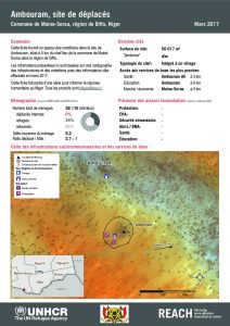 NER_HCR_Factsheet_Profil Site de Déplacés_Commune de Maine-Soroa_Ambouram_Mars 2017