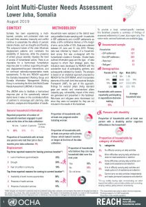 Somalia Joint Multi-Cluster Needs Assessment, Lower Jubba Regional FS, August 2019