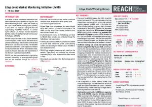 Libya Joint Market Monitoring Initiative, Situation Overview June 2020