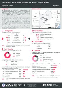 Factsheet_JMCNA_Baidoa_DistrictProfile_August2017