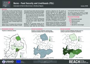 Hard-to-Reach FSL Factsheet in Borno State, Nigeria, January 2020