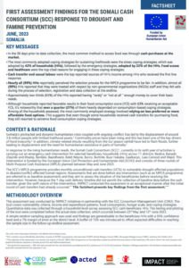 IMPACT_SOM_FIRST ASSESSMENT FACTSHEET_JUNE 2023