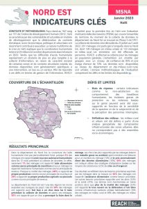 Evaluation multisectorielle des besoins (MSNA) 2022 - Résultats-clés - Département Nord Est