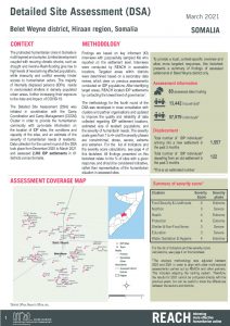 REACH SOM Factsheet DSA Belet Weyne March 2021