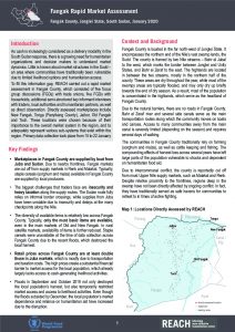 Fangak Rapid Market Assessment – January 2020