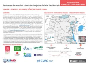 REACH RDC Factsheet ICSM Analyse des tendances des marchés Janvier à Juin 2023