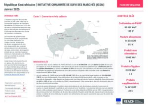 CAR_JMMI_Factsheet_Janvier_2025
