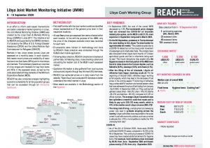 Libya Joint Market Monitoring Initiative, Situation overview, September 2020