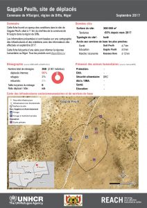NER_Factsheet_Profil Site de Déplacés de Gagala Peulh_Septembre 2017