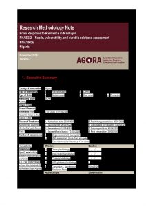 AGORA NGA Maiduguri R2R Area-based Assessment- Phase 2 Methodology Note (February 2020)