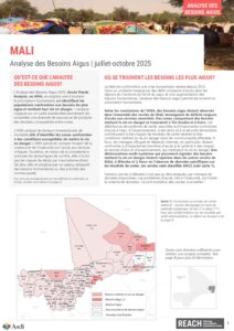 REACH Mali - Analyse des Besoins Aigus 2025