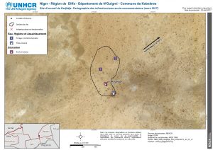 NER_Diffa_SiteAccueil_Kadjidja_mars2017.pdf