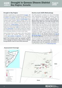 REACH Somalia H2R Qansax Dheere District Zoom-In - August 2022