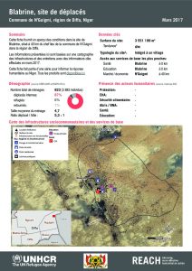 NER_HCR_Factsheet_Profil Site de Déplacés_Commune de N'Guigmi_Blabrine_Mars 2017