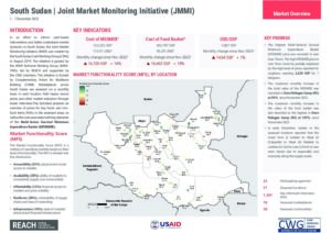REACH SSD JMMI Factsheet December 2023