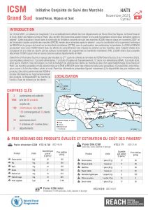 REACH HTI Factsheet ICSM Grand Sud November 2021 Cycle2