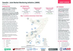 REACH Somalia - Factsheet JMMI Q4
