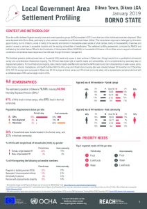 NGA_Factsheet_LGA Settlement Profiling_Dikwa_January 2019