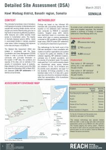 REACH SOM Factsheet DSA Hawl Wadaag March 2021