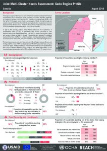 SOM_Factsheet_JMCNA_Gedo Region_August 2018