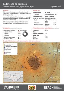 NER_Factsheet_Profil Site de Déplacés de Gadori_Septembre 2017