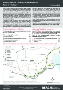 NER_Factsheet_Vulnérabilités PDI_ Novembre 2018