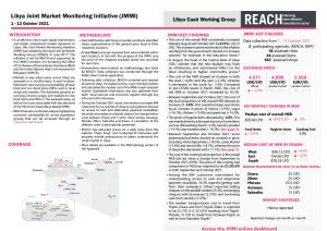 REACH LBY Situation overview JMMI October 2021