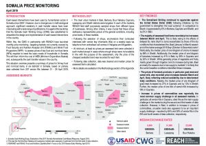 SOM_Situation Overview_Market Price Monitoring_April 2019