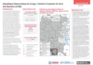 REACH_RDC_ICSM_Factsheet Juillet 2024