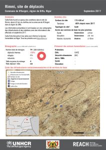 NER_Factsheet_Profil Site de Déplacés de Rimmi_Septembre 2017