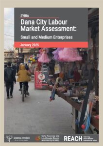 REACH Syria Dana Labour Market Assessment - SME Report (January 2025)