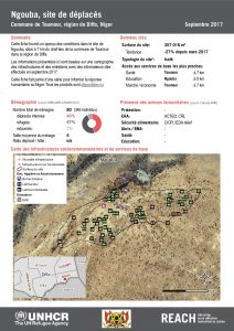 NER_Factsheet_Profil Site de Déplacés de Ngouba_Septembre 2017
