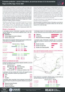 Evaluation protection : fiche d’information sur l'accès à l'information, aux services de base et à la documentation, région de Diffa, Niger – Février 2020