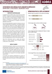 AGORA, Synthèse des résultats enquête ménages - Banfora