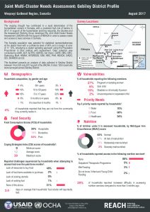 Factsheet_JMCNA_Gebiley_DistrictProfile_August2017