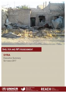 SYR_Report_Shelter and NFI Assessment - Executive Summary_September 2017