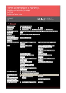 REACH CAR 2020 MSNA ToRs
