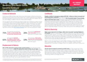 REACH Syria – Northeast Syria Needs Update (August 2026) – Executive Summary