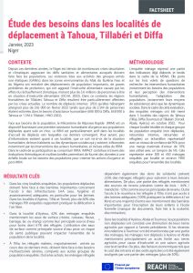 NER2205_Evaluation des besoins_localites_Factsheet_janvier_2023