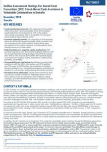 IMPACT_SOM_Somalia_Cash Consortium_Endline Factsheet_ November 2024
